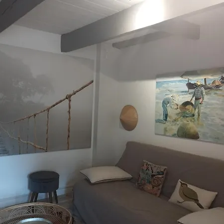 Maison Du Martin Pecheur A Tatil Evi Lannion